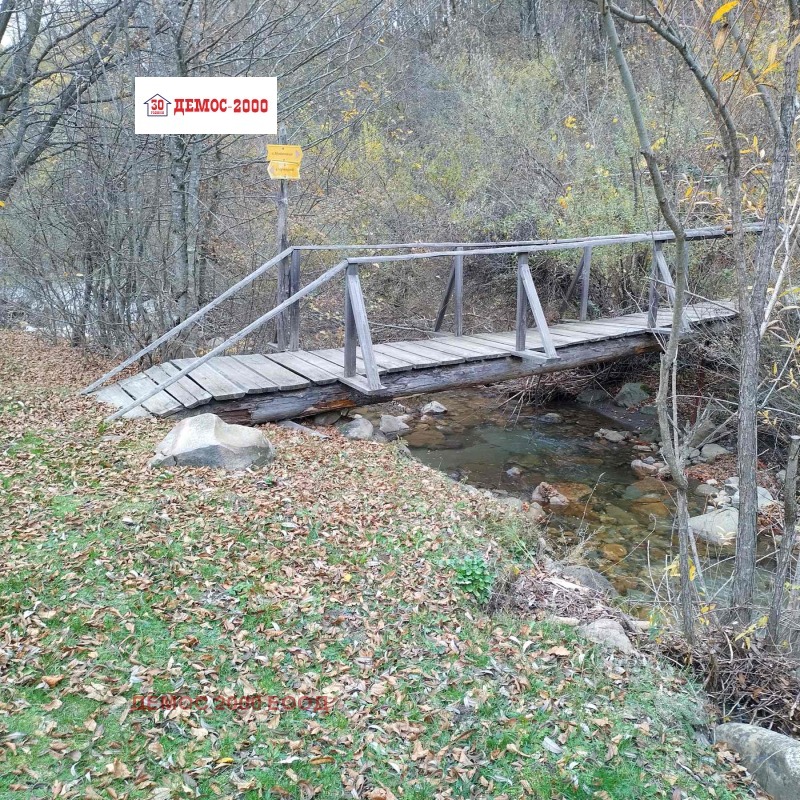 Продава ПАРЦЕЛ, гр. Елена, област Велико Търново, снимка 2 - Парцели - 52315883