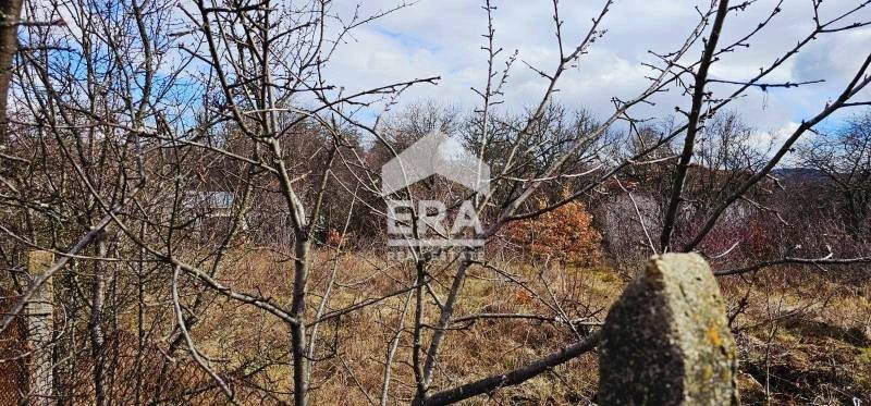 Продава ПАРЦЕЛ, с. Селянин, област София област, снимка 2 - Парцели - 53455922