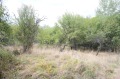 Продава КЪЩА, област Перник, с. Горна Диканя • 55000 € • 10466888 8