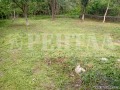 Продава ПАРЦЕЛ, област Пловдив, с. Храбрино • 52000 € • 57382969 — Holmes.bg