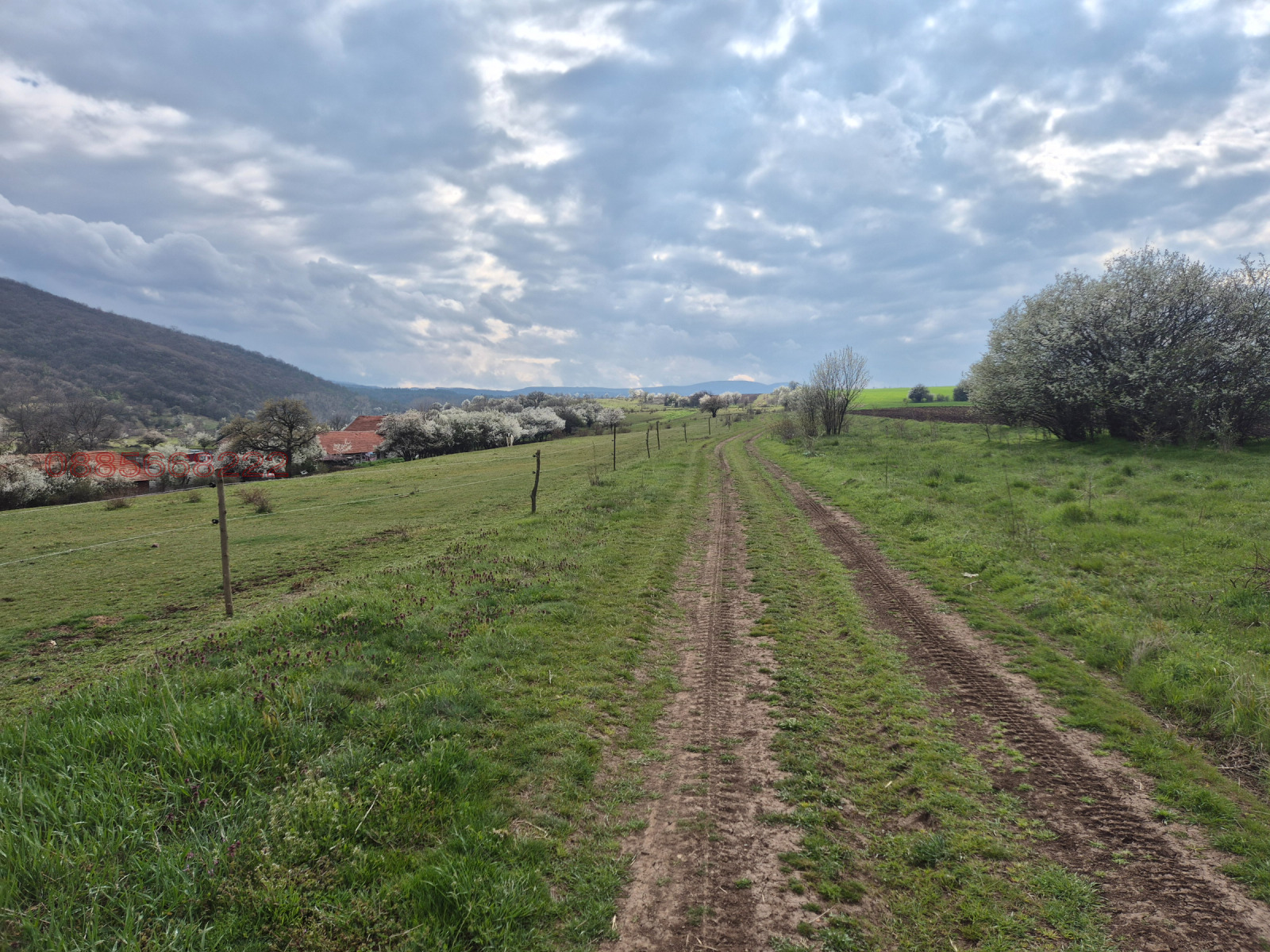 ������� ������ | Imot.bg � ����������� 8