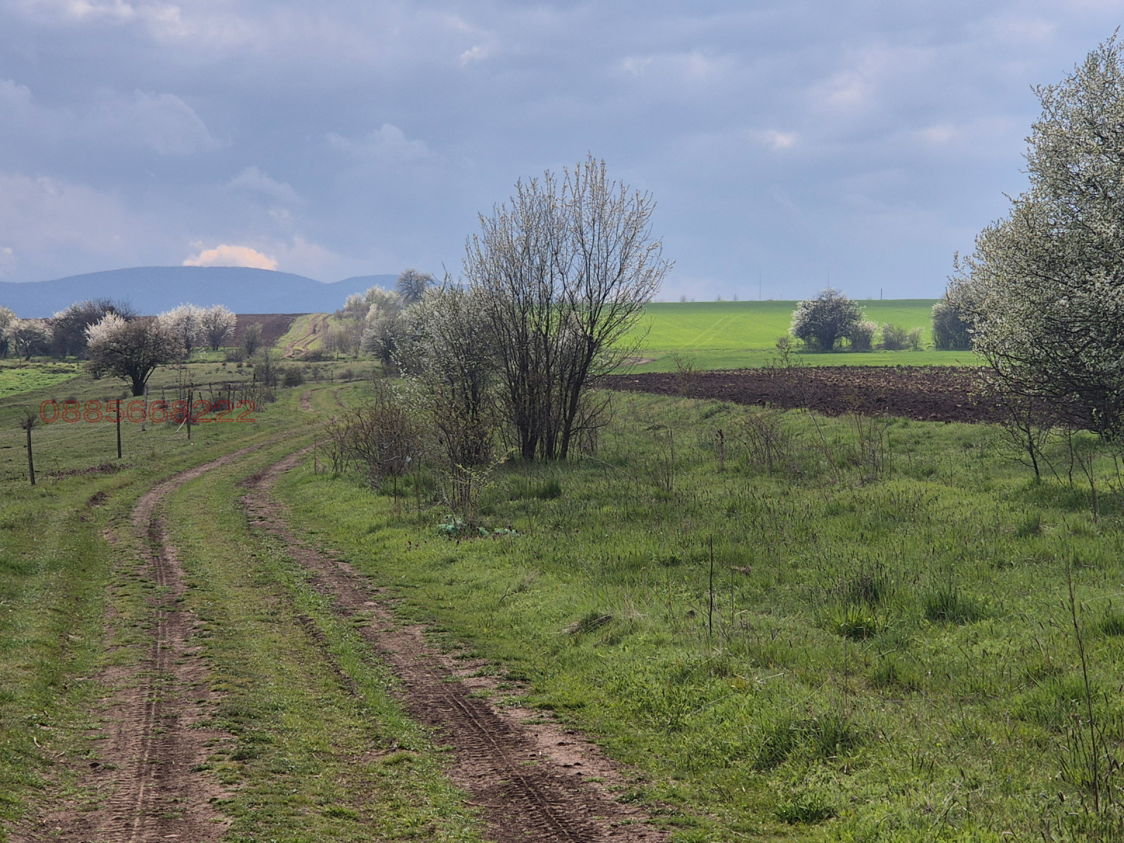 ������� ������ | Imot.bg � ����������� 13