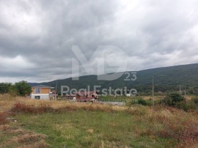 ����� ������� ������,�. ��������, ������ �������