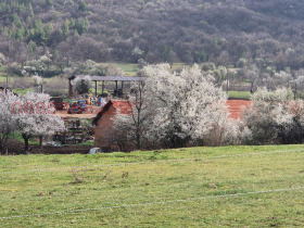 ������� ������ | Imot.bg � ����� ������ 5