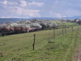 ������� ������ | Imot.bg � ����� ������ 7