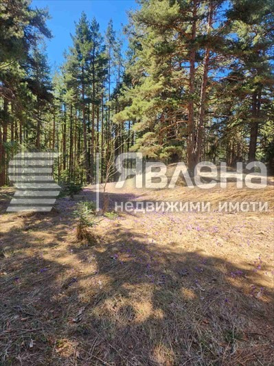 Продава КЪЩА, с. Бели Искър, област София област, снимка 11 - Къщи - 55907793