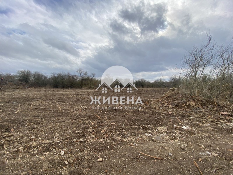 For Sale  Plot region Varna , Levski , 1713 sq.m | 15129321 - image [6]