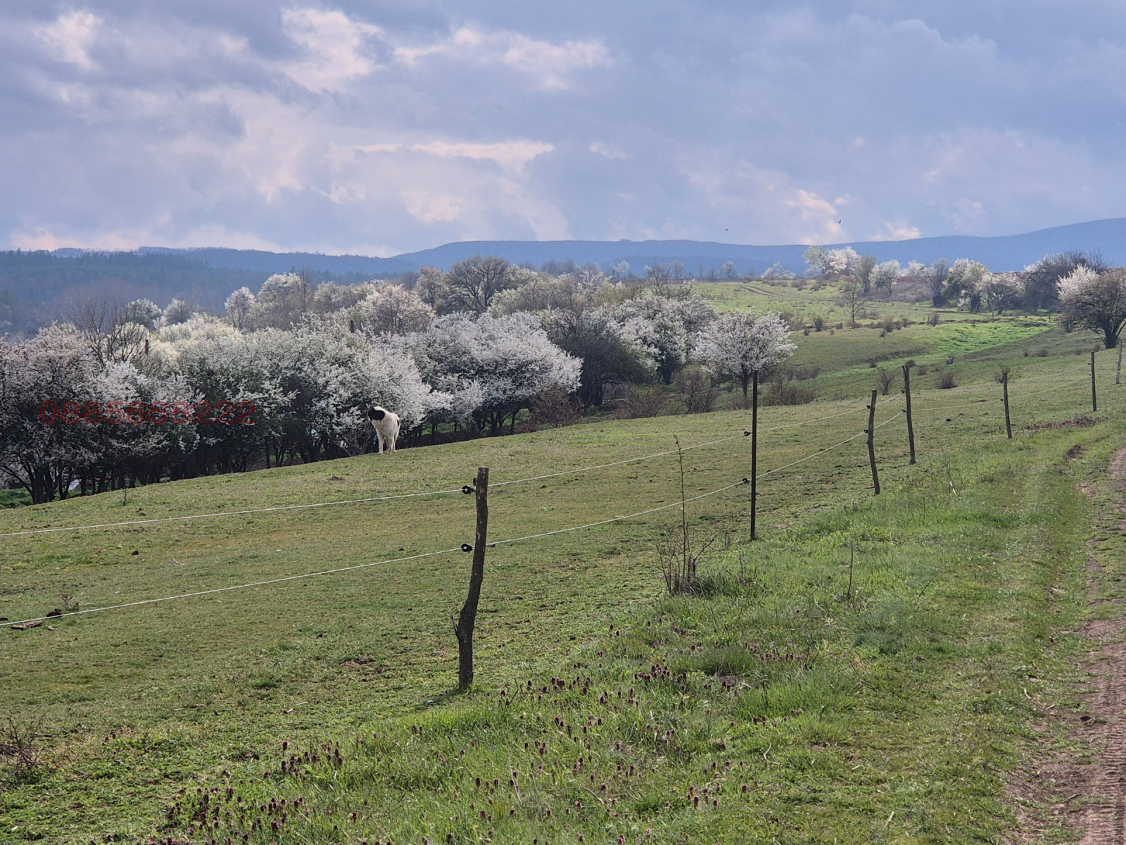 Продава ПАРЦЕЛ, с. Богданлия, област София област, снимка 7 - Парцели - 54179463