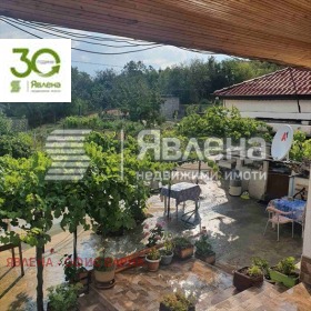 ����� ������� ����,�. �����, ������ �����