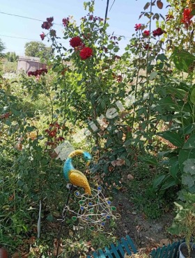 ������� ���� | Imot.bg � ����� ������ 13