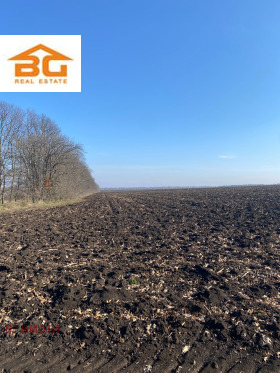 Продава  Земеделска земя, с. Могилище