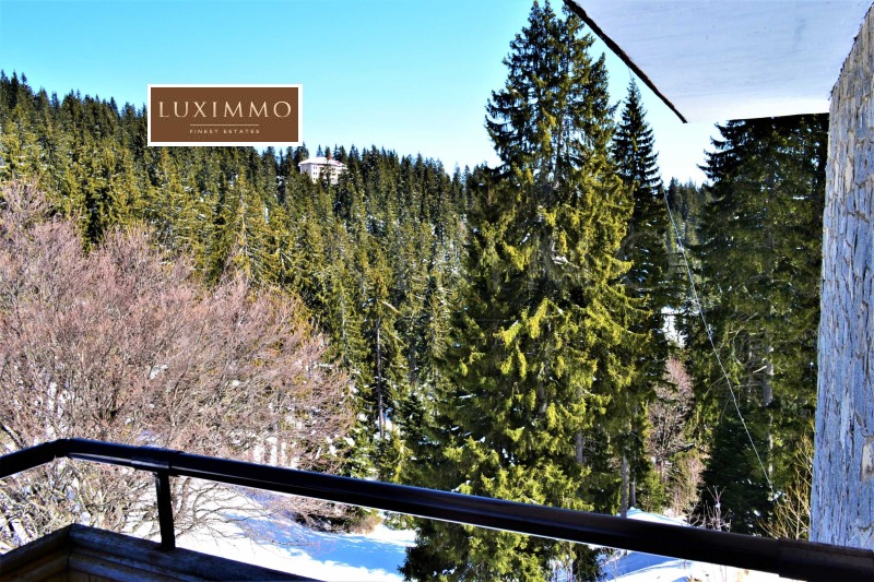 Продава  Хотел област Смолян , к.к. Пампорово , 3423 кв.м | 81329039 - изображение [12]