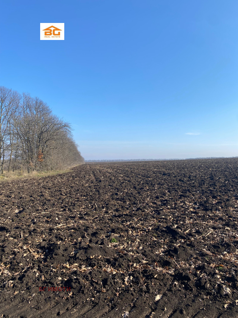 Продава ЗЕМЕДЕЛСКА ЗЕМЯ, с. Могилище, област Добрич