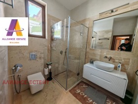 ������ ������� ����