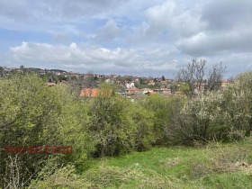 ������ ������� ������