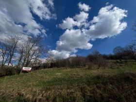 ������ ������� ������