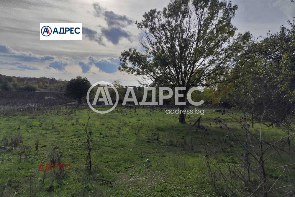 Продава ПРОМ. ПОМЕЩЕНИЕ, с. Водица, област Варна, снимка 8 - Производствени сгради - 53766620