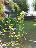 Продава  1-стаен град Бургас , Сарафово , 32 кв.м | 90376717 - изображение [9]