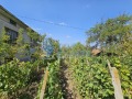 Продава КЪЩА, област Русе, с. Полско Косово • 31500 € • 71110817 — Holmes.bg