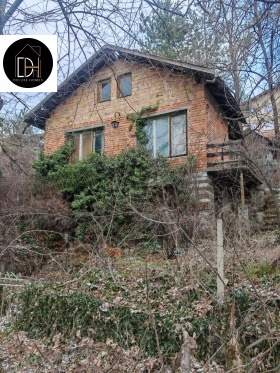 ������ ������� ����