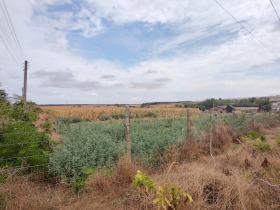 Продава парцел област Добрич гр. Генерал Тошево - [1] 
