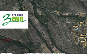 ����� ������� ������,���� ����� ������, �������� - ������