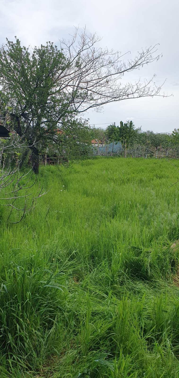 In vendita  Casa regione Plovdiv , Krislovo , 164 mq | 66293223 - Immagine [8]
