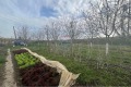 Продава КЪЩА, област Шумен, с. Илия Блъсково • 86478 € • 98176484 — Holmes.bg