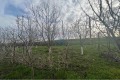 Продава КЪЩА, област Шумен, с. Илия Блъсково • 86478 € • 98176484 — Holmes.bg
