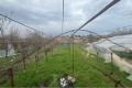 Продава КЪЩА, област Шумен, с. Илия Блъсково • 86478 € • 98176484 — Holmes.bg