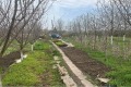 Продава КЪЩА, област Шумен, с. Илия Блъсково • 86478 € • 98176484 — Holmes.bg