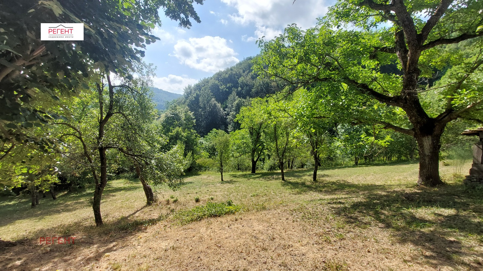Продава КЪЩА, с. Бойчета, област Габрово, снимка 8 - Къщи - 55570527