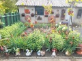 Продава КЪЩА, област Добрич, с. Змеево • 42000 € • 22836765 — Holmes.bg