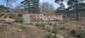 Продава  Парцел град София , с. Владая , 1618 кв.м | 16407669 - изображение [5]
