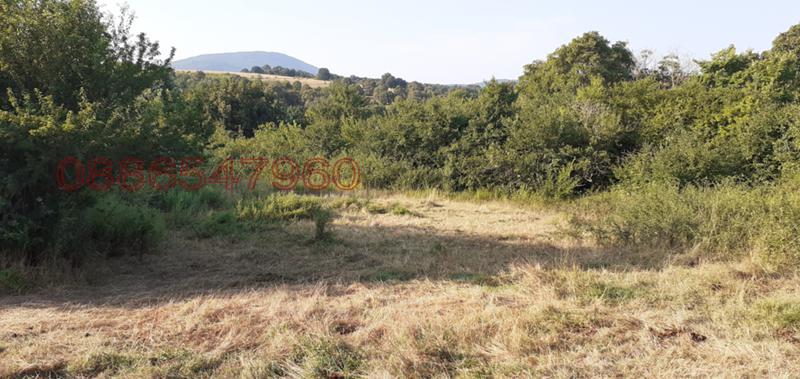 ������� ������ | Imot.bg � ����������� 5