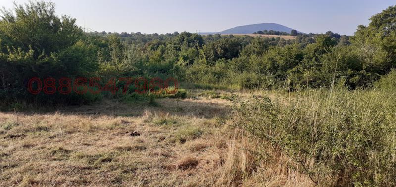 ������� ������ | Imot.bg � ����������� 6