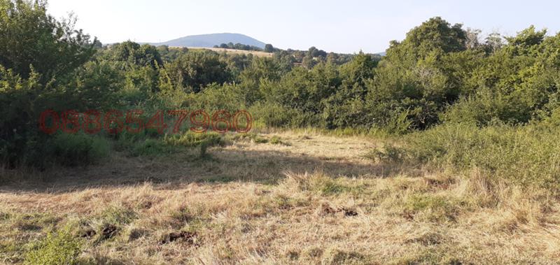 ������� ������ | Imot.bg � ����������� 4