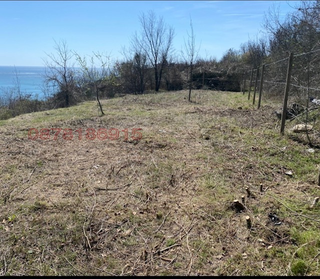 ������� ������ | Imot.bg � ����������� 3