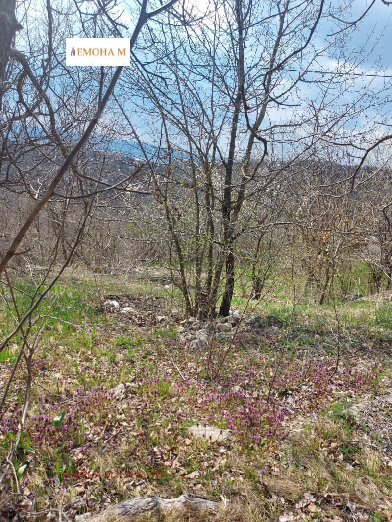 Продава  Парцел град Варна , м-т Планова , 950 кв.м | 85111502 - изображение [3]