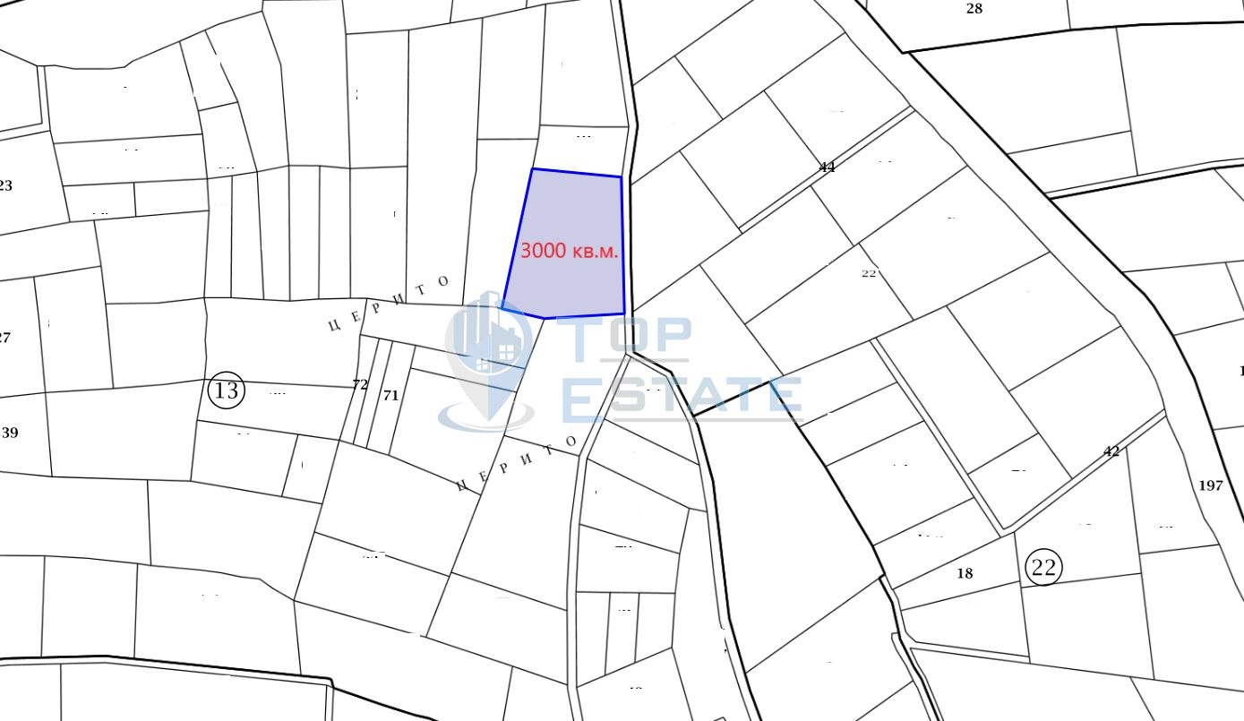 Продава ПАРЦЕЛ, с. Беляковец, област Велико Търново, снимка 2 - Парцели - 46069052