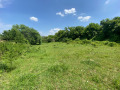 Продава ПАРЦЕЛ, с. Ушинци, област Разград, снимка 1