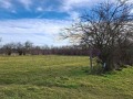Продава ПАРЦЕЛ, с. Стефан Караджа, област Варна, снимка 3