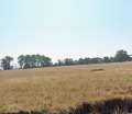 Продава ПАРЦЕЛ, гр. София, Симеоново, снимка 2