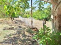 Продава ПАРЦЕЛ, област Русе, с. Пиргово • 12000 € • 16649299 — Holmes.bg