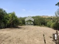Продава ПАРЦЕЛ, област Русе, с. Пиргово • 12000 € • 16649299 — Holmes.bg