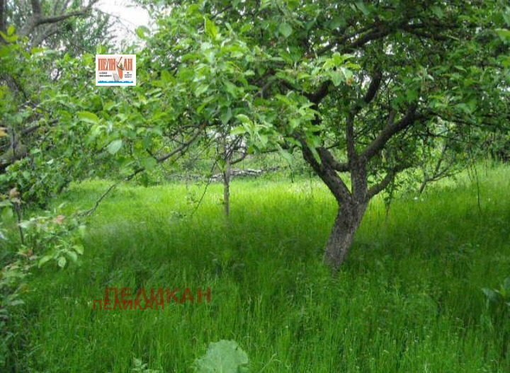 ������� ������ | Imot.bg � ����������� 1