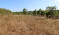 Продава ПАРЦЕЛ, област Бургас, с. Варвара • 135000 € / 264037.05 лв. • 34812459 1