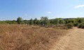 Продава ПАРЦЕЛ, област Бургас, с. Варвара • 135000 € / 264037.05 лв. • 34812459 3