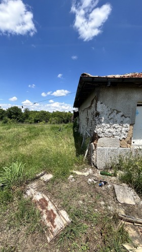 Hus Cheshnegirovo, region Plovdiv 1