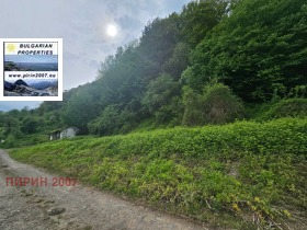 ����� ������� ������,�. ���� ����, ������ �����